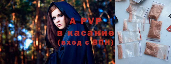 стафф Приозерск