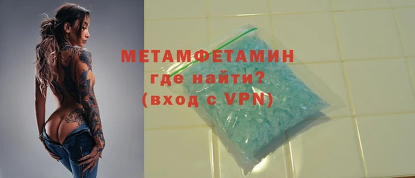 прущие грибы Рославль