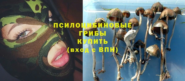 хмурый Елабуга