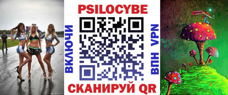 наркота  Старица  Псилоцибиновые грибы Psilocybine cubensis 
