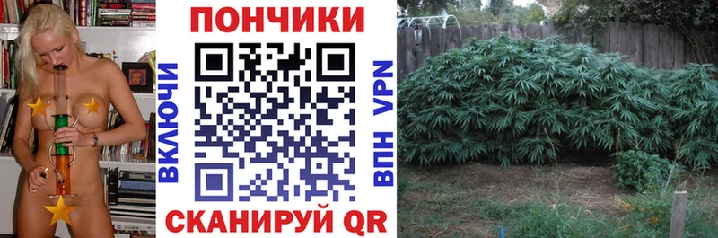 Бошки марихуана VHQ  где купить наркоту  Старица 